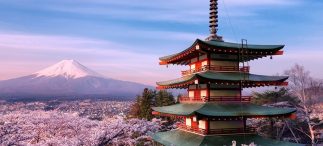 Viaggio Giappone 2019 – Easy Nite